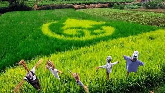 长春理工大学函授本科的学历有用吗