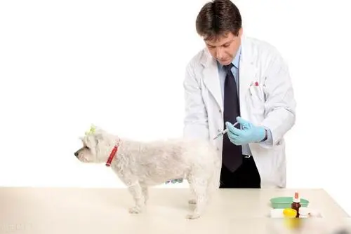 长春中医药大学成人专升本有哪些专业