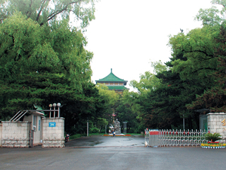 大安成人高考本科怎么考